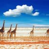 African Animals Landscape Diamond Painting