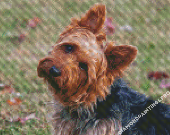 Australian Terrier Dog Diamond Painting