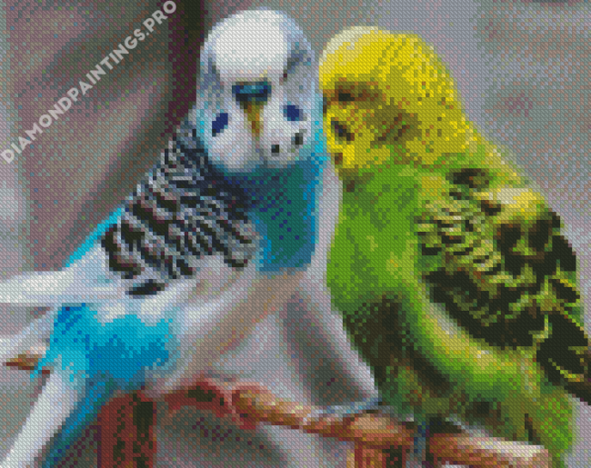 Blue And Green Parakeets Diamond Painting