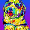 Colorful Bernedoodle Diamond Painting