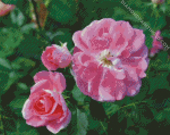 Floribunda Roses diamond painting