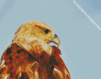 The Indian Spotted Eagle Diamond Painting
