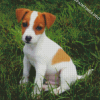 Jack Russell Terrier Diamond Painting