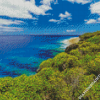 Niue Island Seaview Diamond Painting