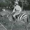 Vintage Woman Riding Zebra Diamond Painting