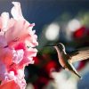 Pink Gladiola And Humming Bird diamond painting