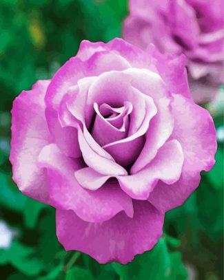 Purple Floribunda Rose diamond painting
