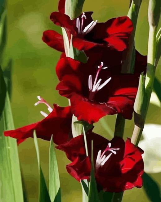 Red Gladiola Flower diamond painting