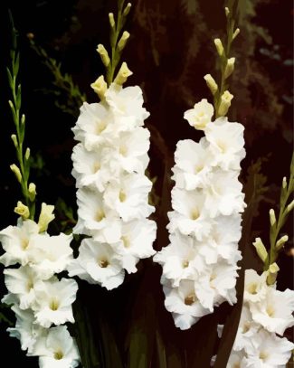 White Gladiola Flowers diamond painting