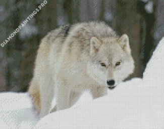 Ice Wolf Diamond Painting