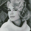 Black And White Young Sandra Dee Diamond Painting