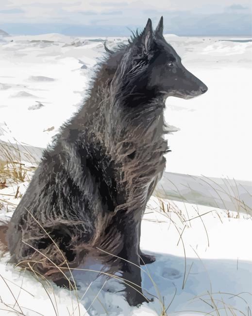 Black Ice Wolf In Snow Diamond Painting