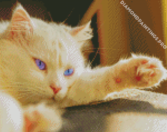 Blue Eyes White Persian Cat Diamond Painting