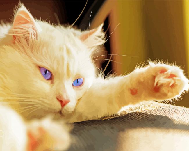 Blue Eyes White Persian Cat Diamond Painting