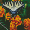 Butterfly Marigolds Diamond Painting