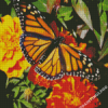 Butterfly On Marigolds Diamond Painting