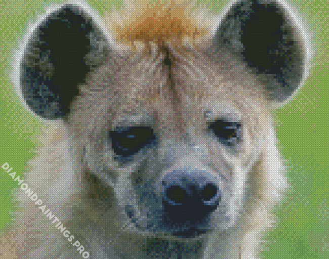 Close Up Spotted Hyena Diamond Painting