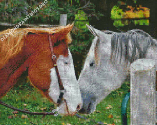 Farm Horses Couple Diamond Painting