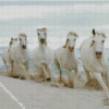 Five Horses On Beach Diamond Painting