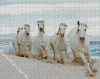 Five Horses On Beach Diamond Painting