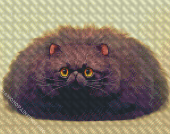 Fluffy Black Cat diamond painting