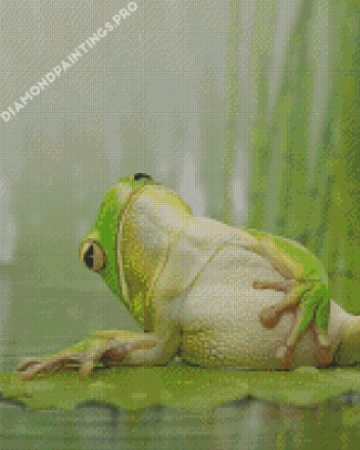Frog Chilling On Lily Pad Diamond Painting