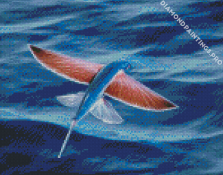 Flying Fish Diamond Painting