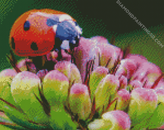 Ladybeetle On Flower diamond painting