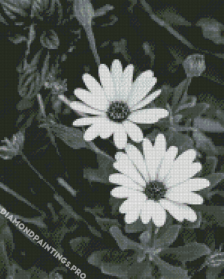 Monochhrome Black And White Flowers Diamond Painting