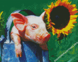 Pig And Sunflower Diamond Painting