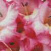 Pink Gladiola Flower diamond painting