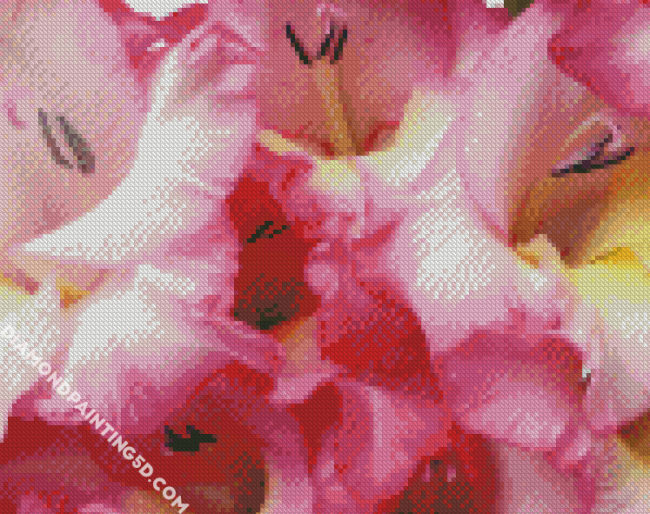 Pink Gladiola Flower diamond painting