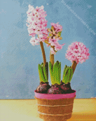 Pink Hyacinth diamond painting