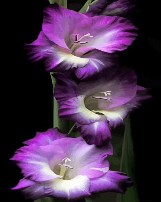 Purple Gladiola Flowers diamond painting