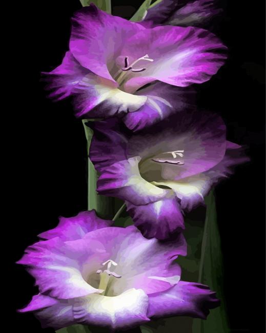 Purple Gladiola Flowers diamond painting