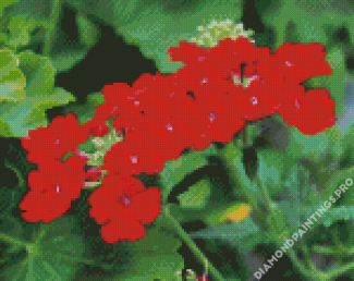 Red Verbena Flowering Plant Diamond Painting