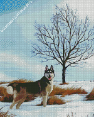 Snow Husky diamond painting