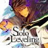 Solo Leveling Poster Diamond Painting