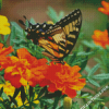 Swallowtail On Marigolds Diamond Painting