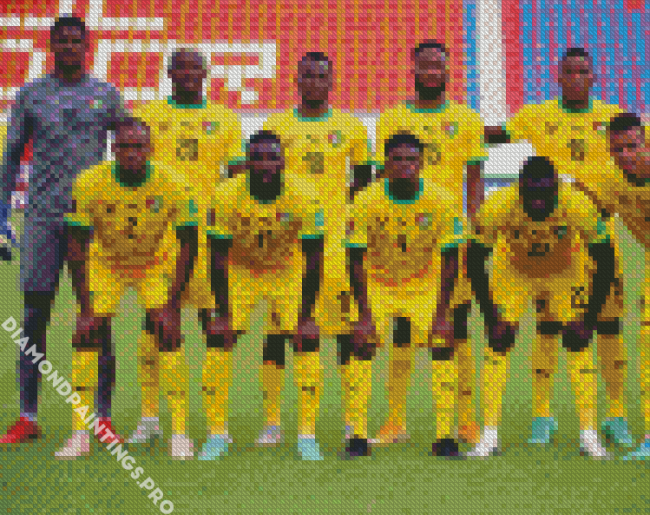 Togo Football Club Diamond Painting