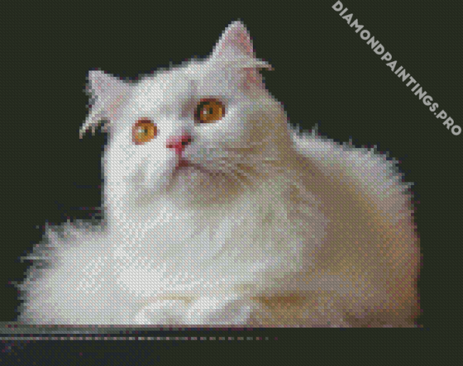 White Persian Cat Diamond Painting