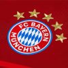 FC Bayern Munich Diamond Painting