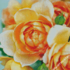 Peach Roses Flowers Diamond Painting