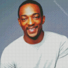The American Actor Anthony Mackie Diamond Painting