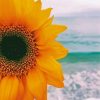Beach Sunflower Diamond Painting