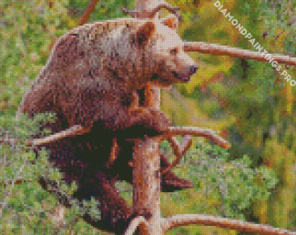 Bear On Tree Diamond Painting