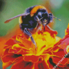 Bumble Bee On Flower Diamond Painting