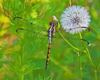 Dragonfly Insect And Dandelion Diamond Painting