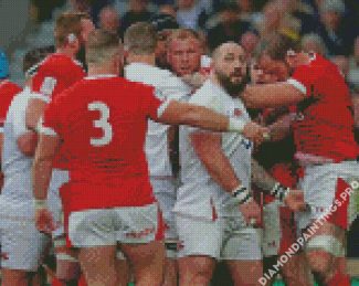 England National Rugby Team Diamond Painting