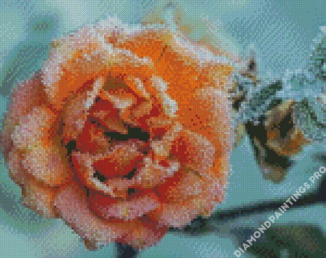 Frozen Peach Roses Diamond Painting